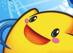 The Legendary Starfy (DS)